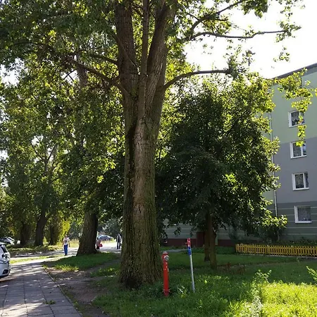 - Nad Morzem Apartment